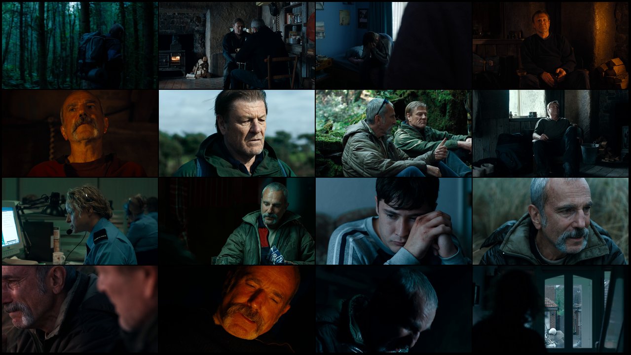 Preview Anemone.2025.1080