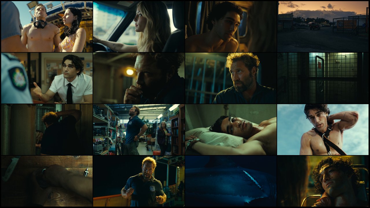 Preview Dangerous.animals