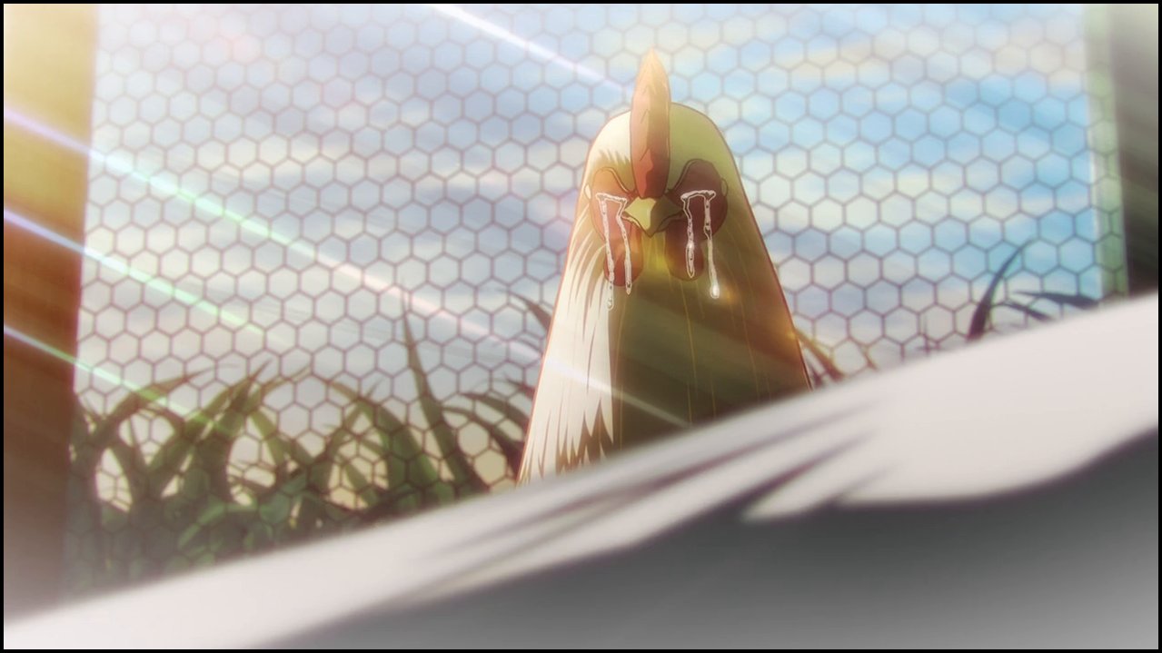 Niwatori Fighter – Episódio 8