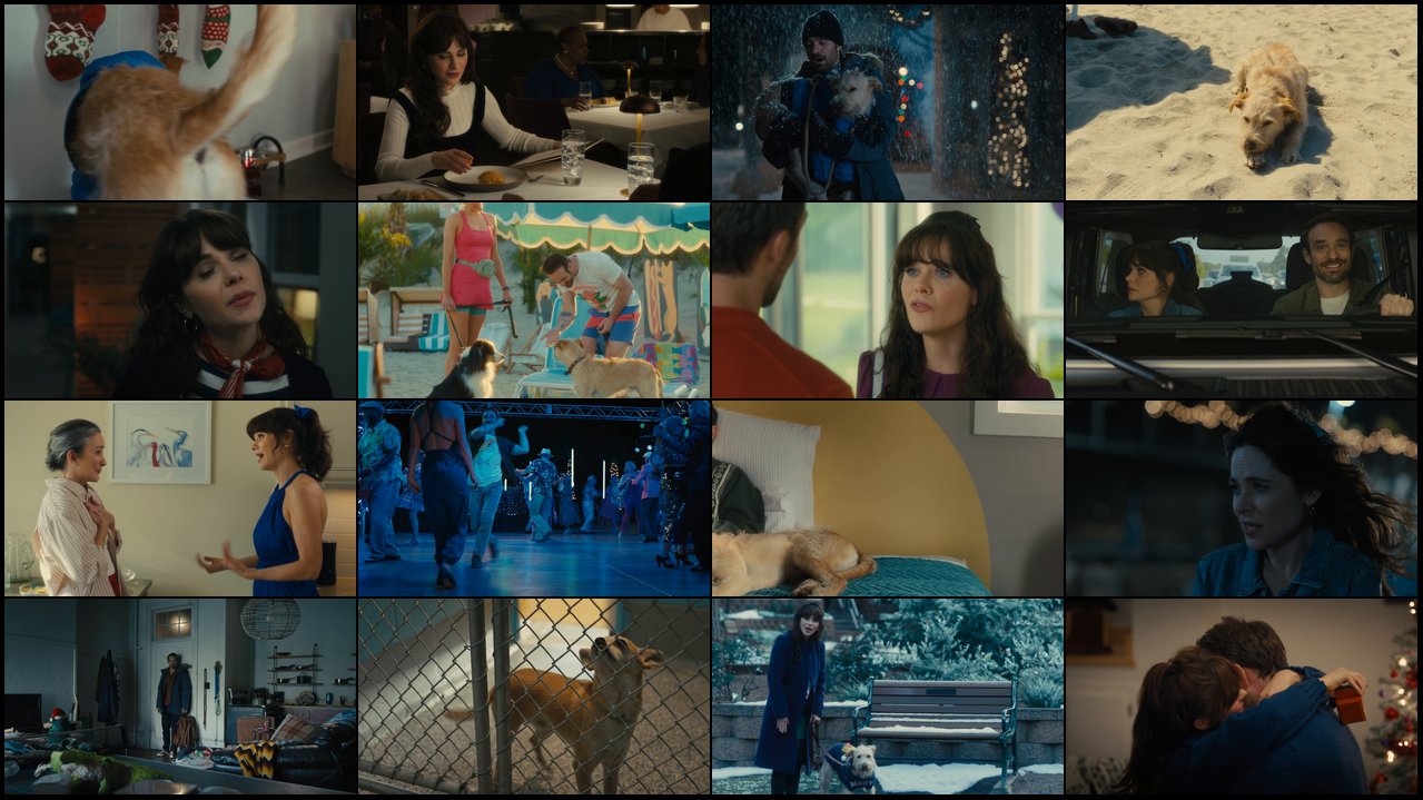 Preview Merv.2025.1080